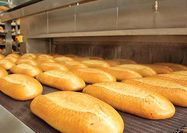 فرمول تغییر تاکتیک یارانه  برای توسعه صنعت نان