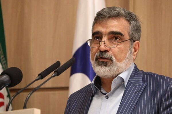 اظهارات مهم کمالوندی درباره روابط ایران و آژانس اتمی