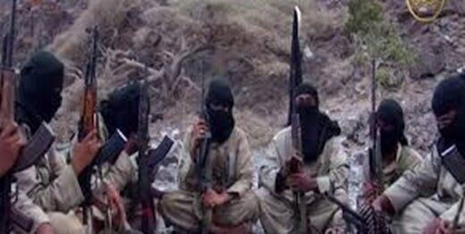 سرکرده القاعده دستگیر شد/عکس