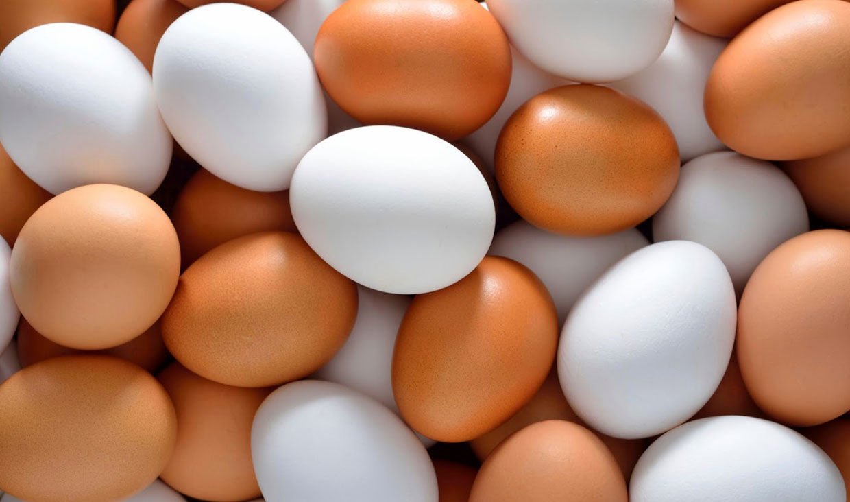 فاسد شدن تخم‌مرغ چه نشانه‌هایی دارد؟