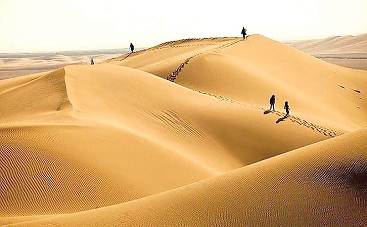 در خانه ماندن یا رفتن به کویـــــر؟
