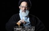 محل تدفین پیکر آیت‌ الله شبیری زنجانی مشخص شد