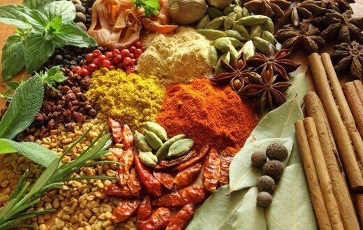 سیستم ایمنی بدن خود را با این توصیه های طب سنتی تقویت کنید
