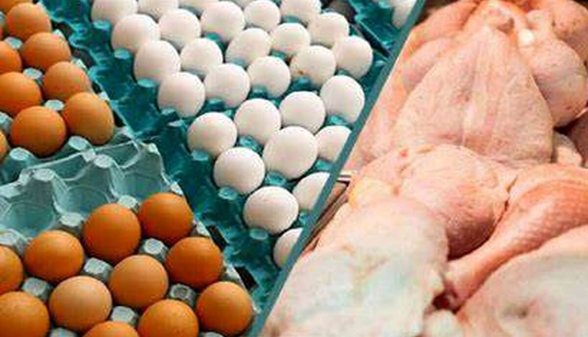 نرخ جدید مرغ و تخم مرغ در میادین میوه و تره بار