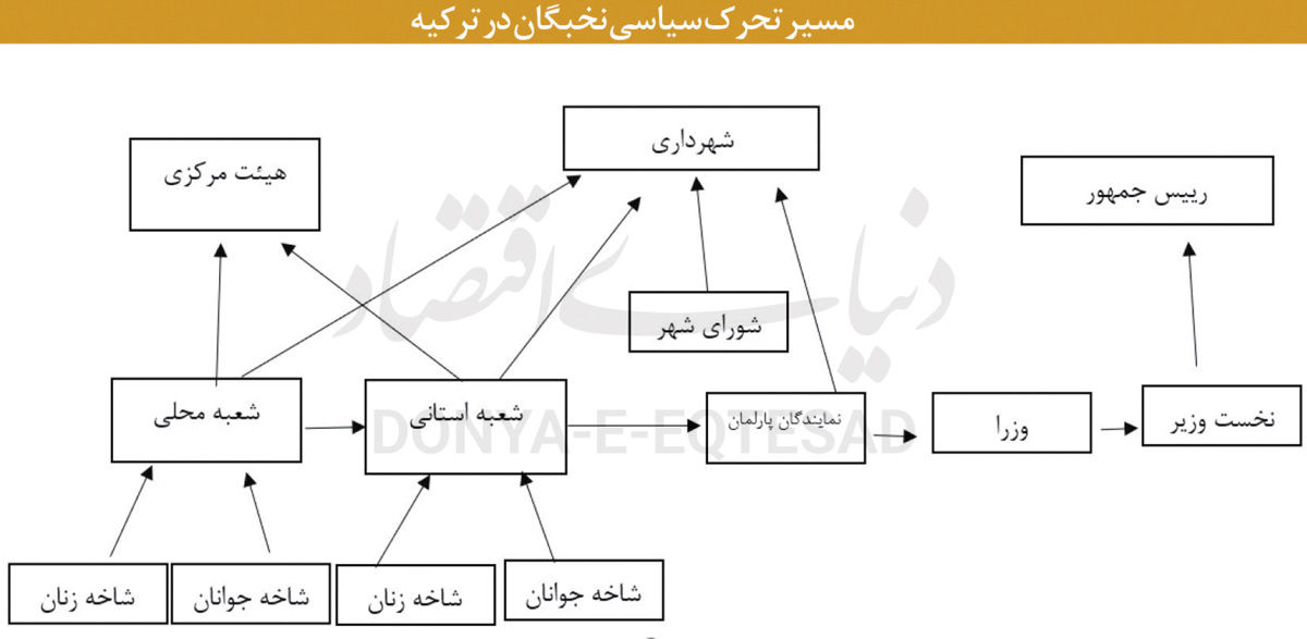 تجربه تربیت سیاستگذار