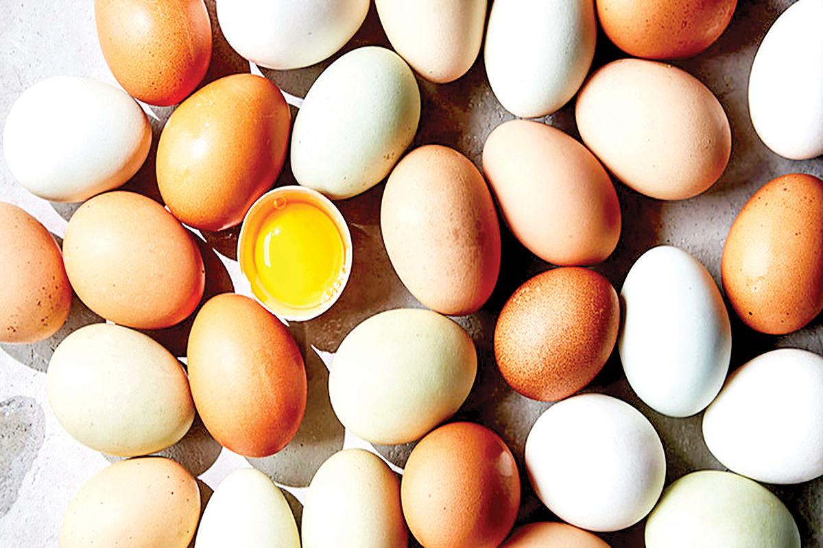 نارضایتی مصرف‌کنندگان از رشد صعودی قیمت تخم‌مرغ