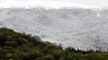 سفر برای آرامش