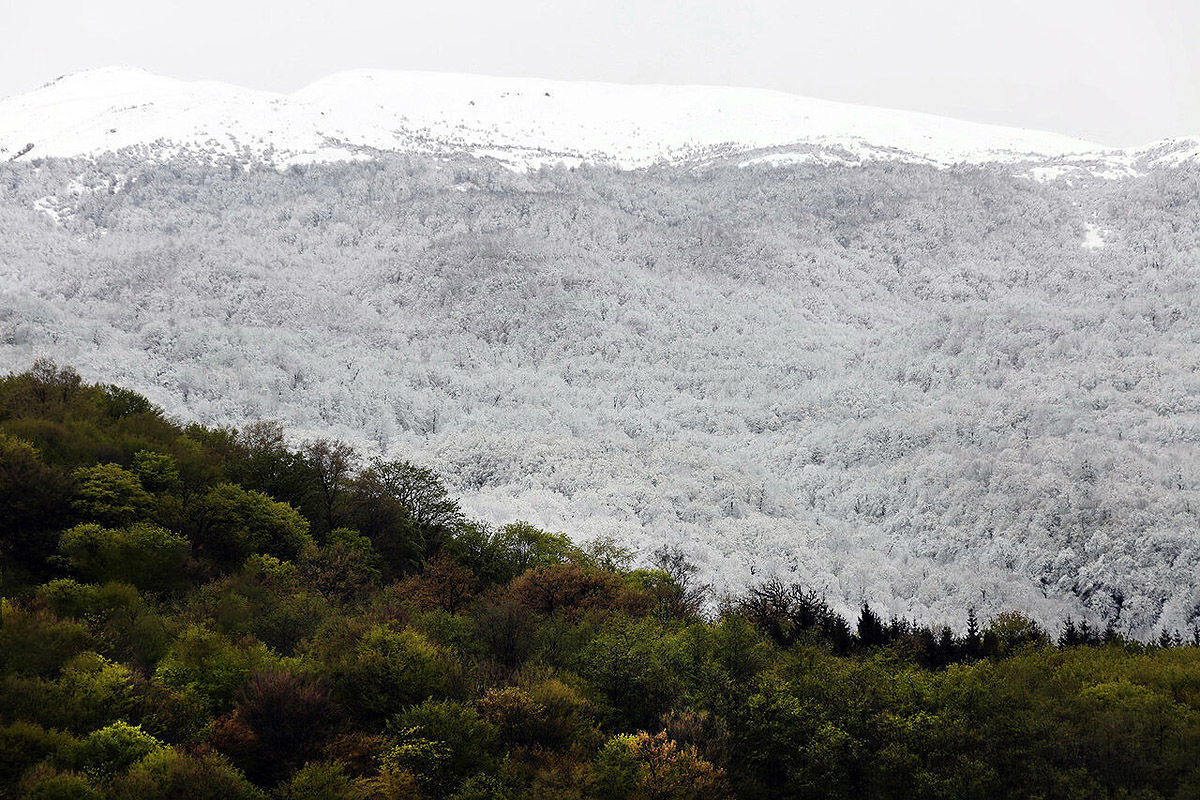 سفر برای آرامش