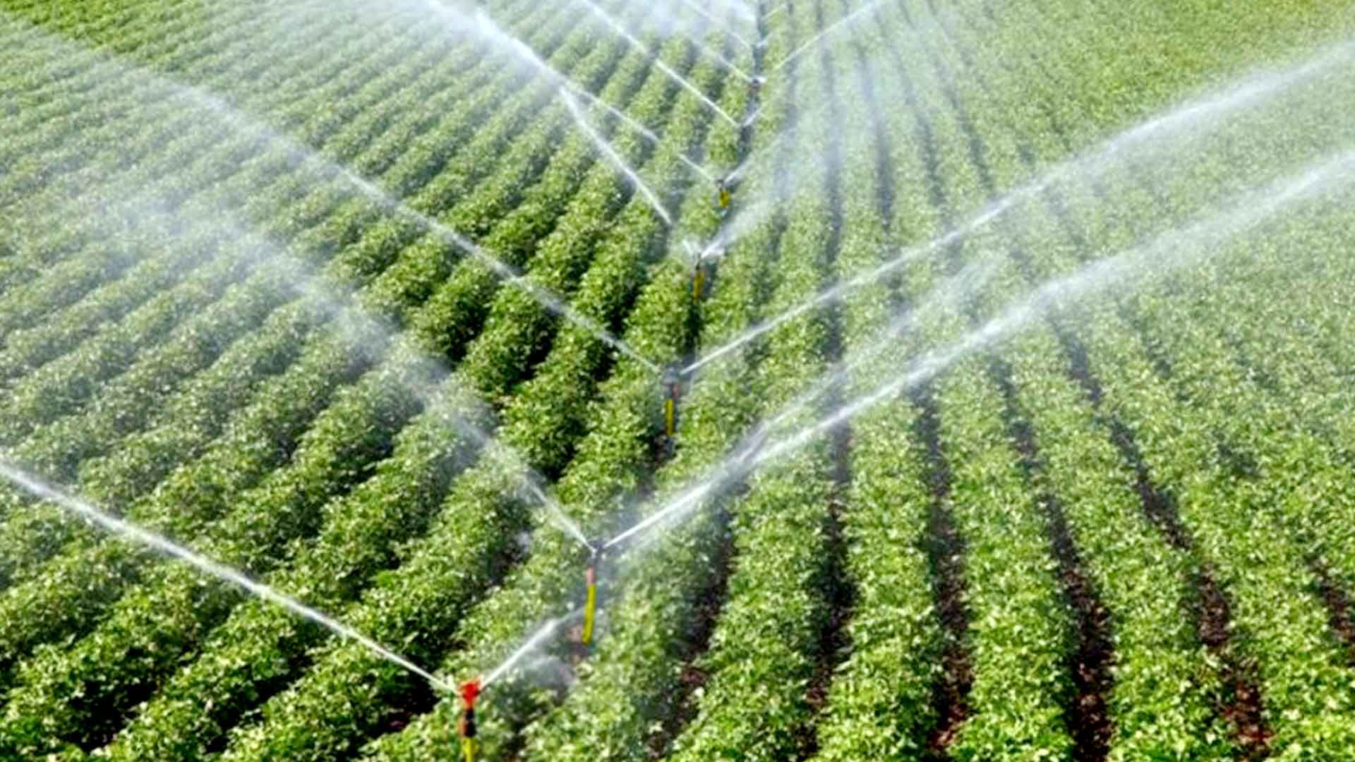 حرکت به سوی کشاورزی مدرن و پایدار