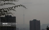 تداوم آلودگی هوای تهران/ بارندگی هم کارساز نبود
