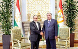 هم‌زبانی در قصر ملت