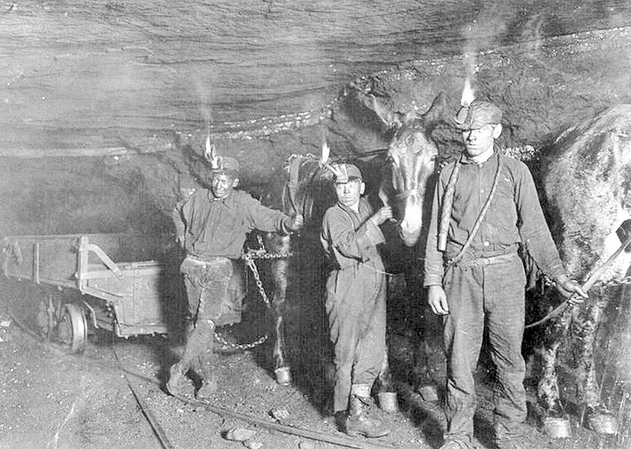 اتحادیه معدنچیان آمریکا