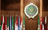 اتحادیه عرب علیه اسرائیل بیانیه صادر کرد
