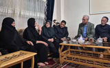 دلجویی دولت از خانواده «الهه» 