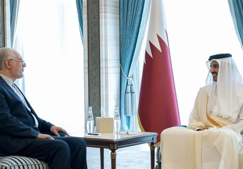 سفیر ایران با امیر قطر دیدار کرد