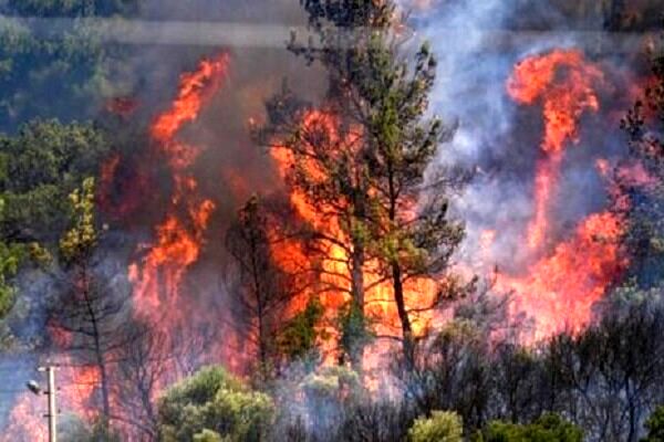 آتش‌سوزی در جنگل‌های سیاهکل و رودبار