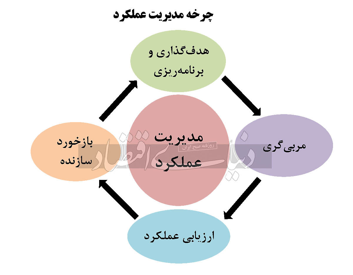 اهمیت استقرار نظام مدیریت عملکرد در سازمان 