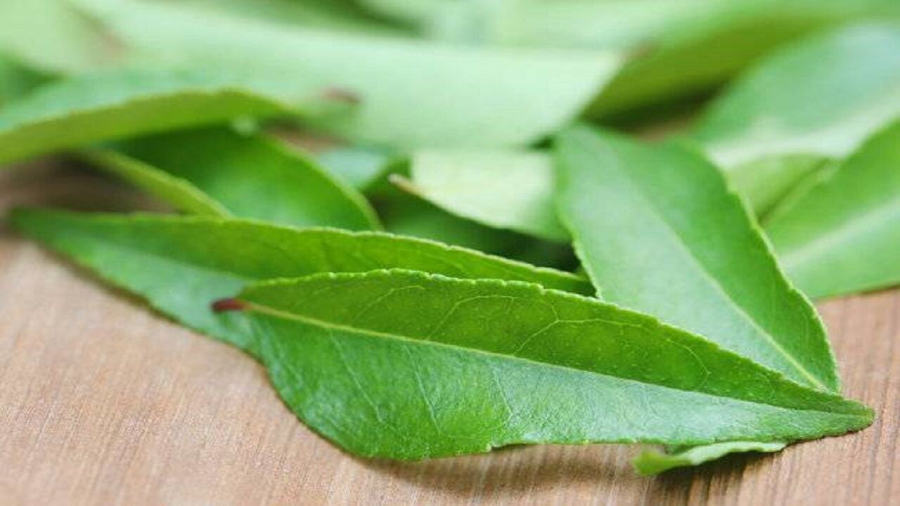 این ۹ دلیل مهم برای استفاده روزانه از برگ کاری کافیست