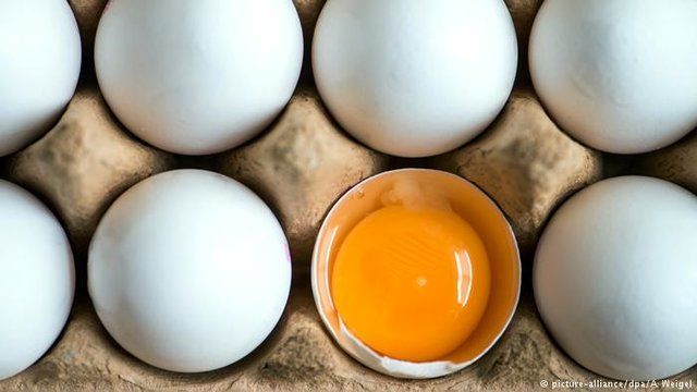 چرا قیمت تخم مرغ افزایش پیدا کرد؟