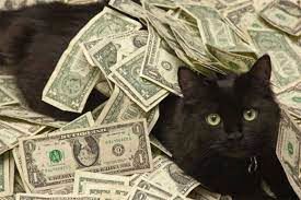دلار گربه سیاه را هم رد کرد