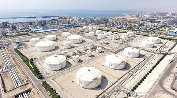 پلیمر در مدار تغییرات نرخ ارز
