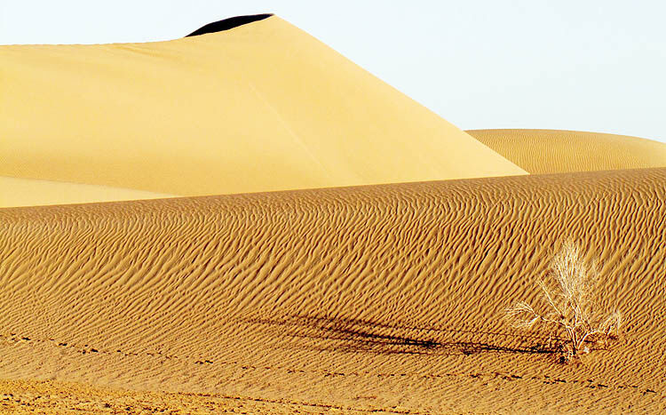 عکسنوشت