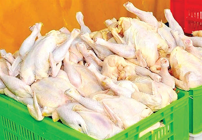 ثبات نرخ مرغ در بازار