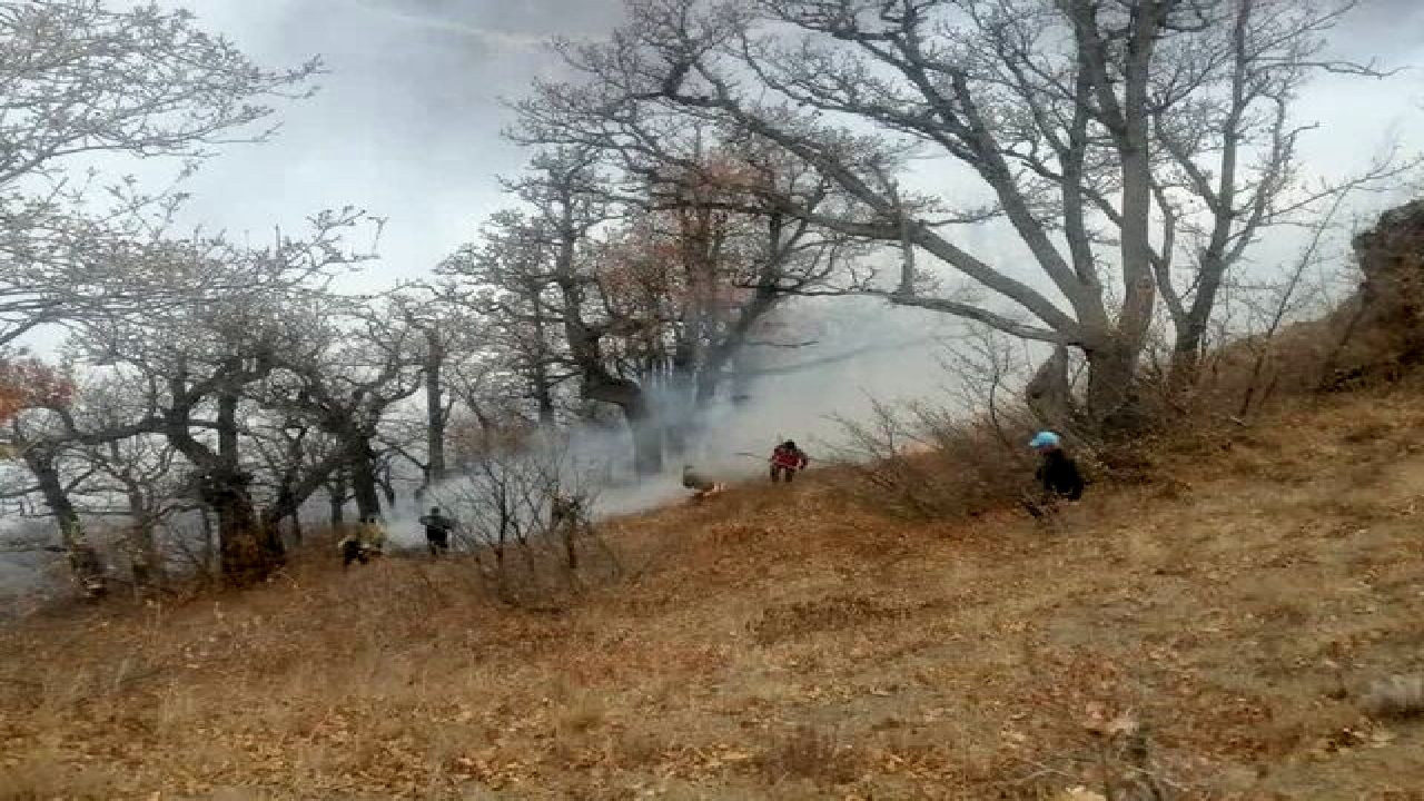 آتشی که الیت را خاکستر کرد / در روزهای اول هیچ کس ماجرا را جدی نگرفت