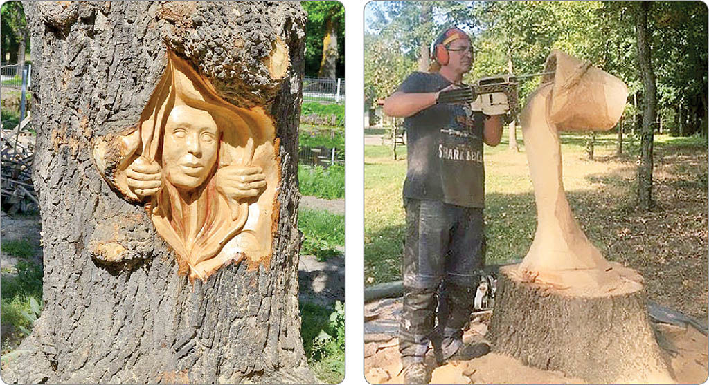 هنرنمایی روی کُنده‌های درختان قدیمی