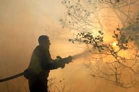 جنگل‌های الیت همچنان در آتش می‌سوزد / اعزام 17 تیم امدادی و 64 نیروی عملیاتی