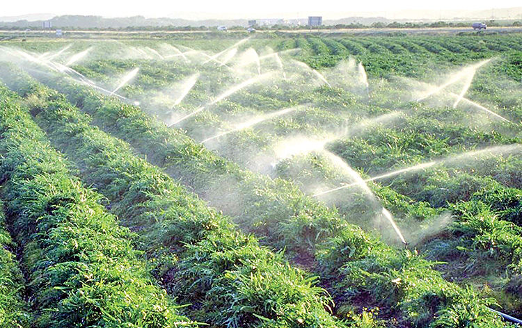 کاهش ۲۶‌ میلیارد مترمکعبی آب زراعت