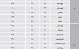 آپارتمان‌های میانسال در مناطق جنوبی