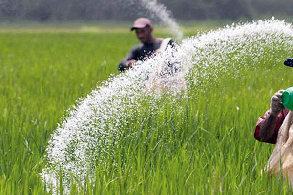 شوک پنهان در زنجیره غذا