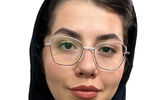 صنعت در کف سرمایه