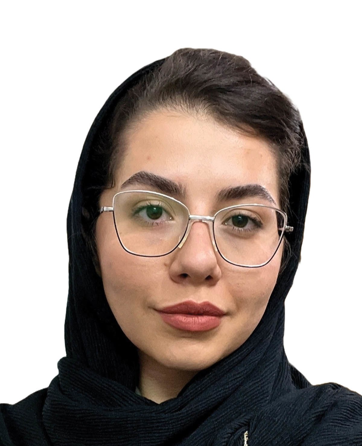 صنعت در کف سرمایه