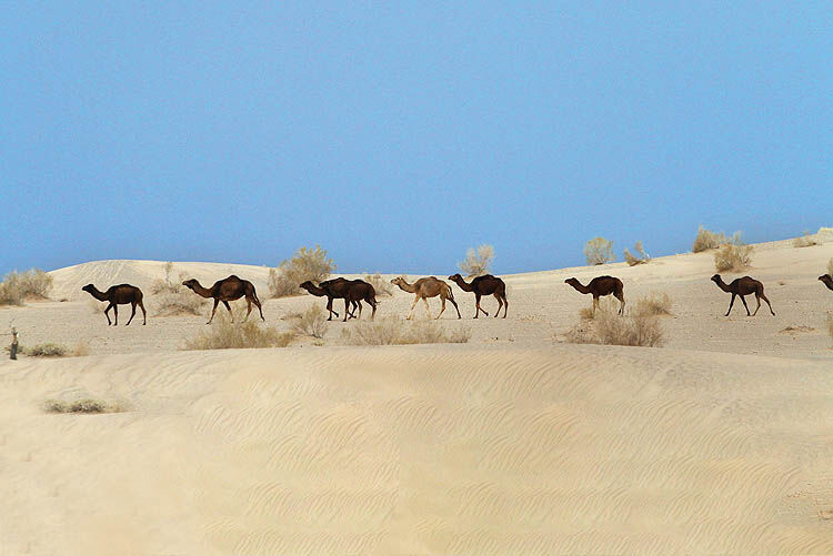 عکسنوشت