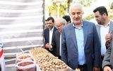 نمایشگاه توانمندی‌های کشاورزی خسروشاه آغاز به‌کار کرد