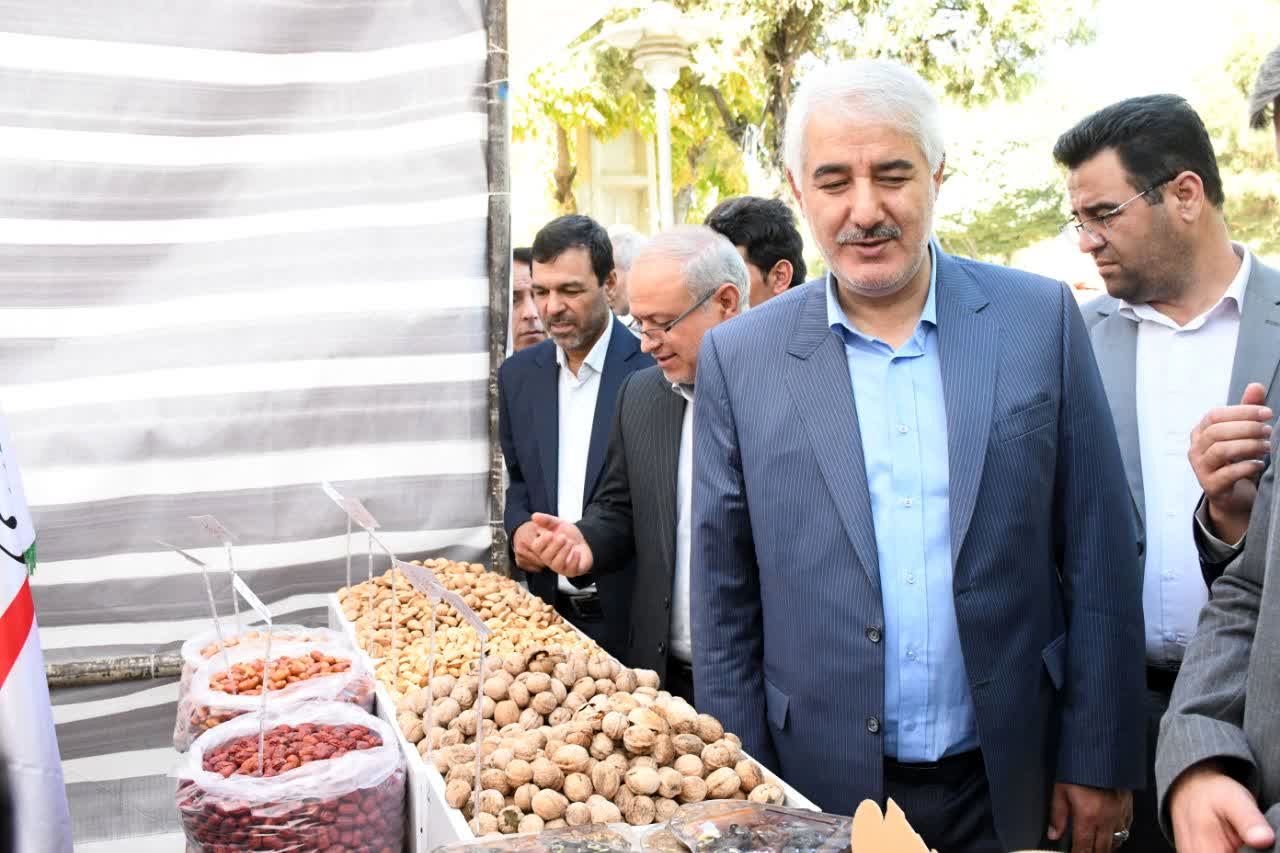نمایشگاه توانمندی‌های کشاورزی خسروشاه آغاز به‌کار کرد