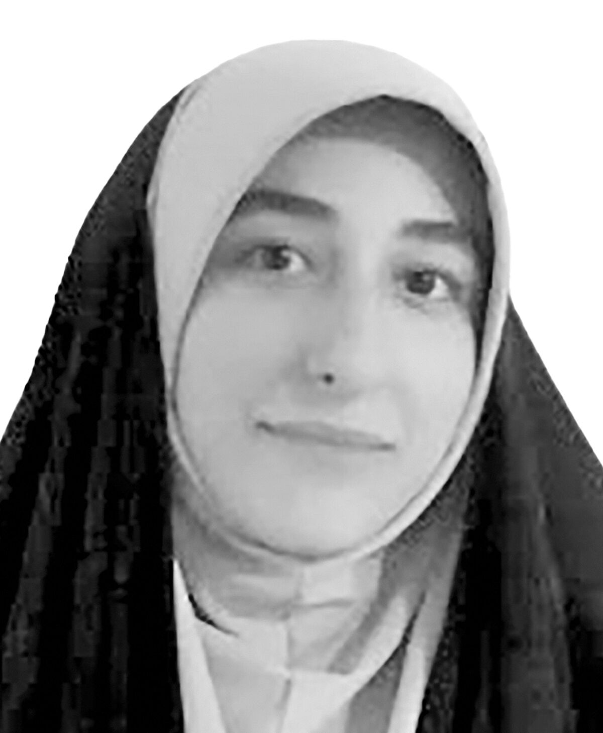 در خدمت و خیانت ریاضیات