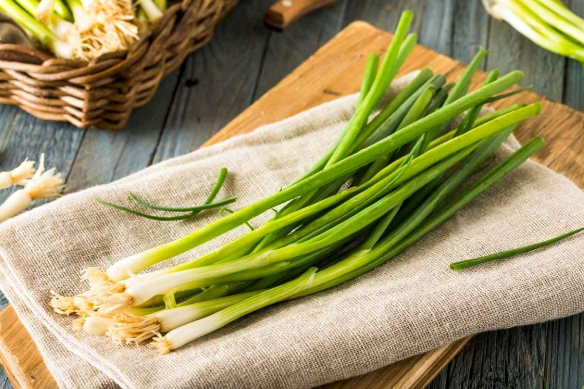 این سبزی را برای تقویت مکانیسم‌های بدن فراموش نکنید