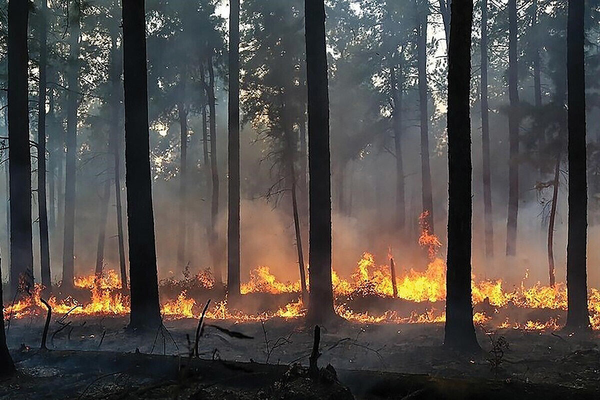 نابودی زیست‌بوم 