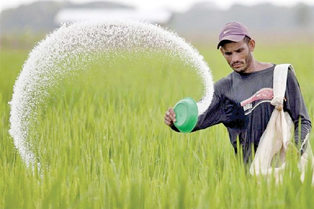 دانش استفاده بهینه از کود