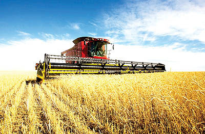 دولت از تولیدکنندگان ماشین‌آلات کشاورزی حمایت کند