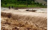 سیلاب وارد منازل ۴۰ خانوار روستای شهرک هزارانی آبدانان شد+فیلم