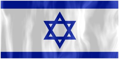 نماینده تیم مذاکرات ارتش اسرائیل استعفا داد