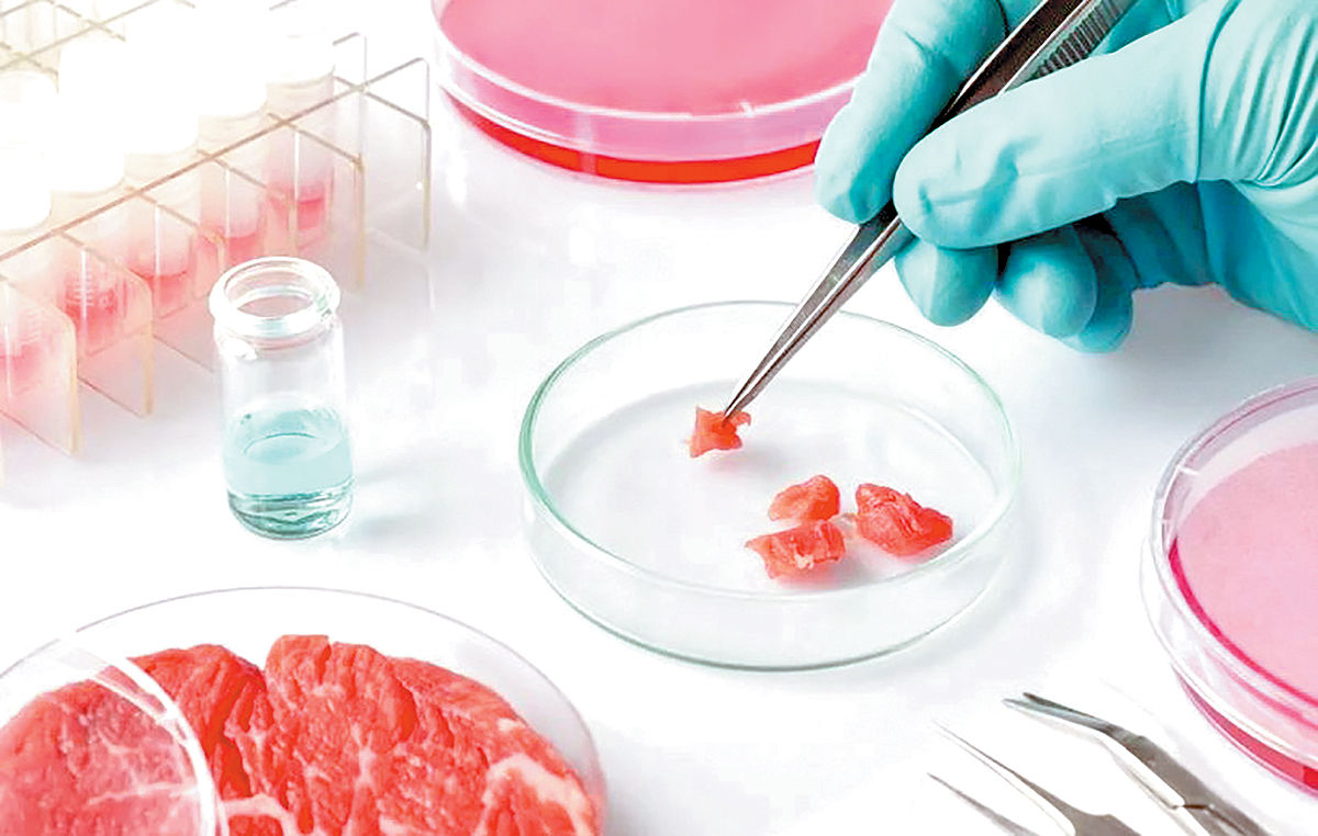 واگذاری آزمون‌های فرآورده‌های گوشتی به آزمایشگاه‌های معتبر