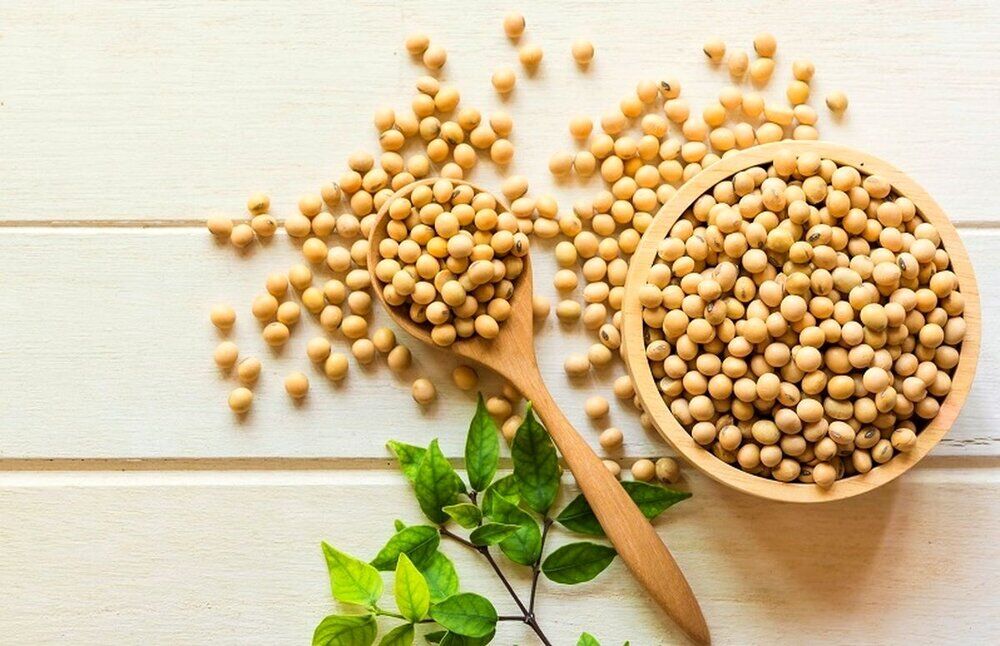 با خوردن این ماده‌ غذایی خطر ابتلا به بیماری‌های قلبی را کاهش دهید