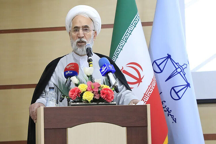 دستور دادستان کل به فرزین