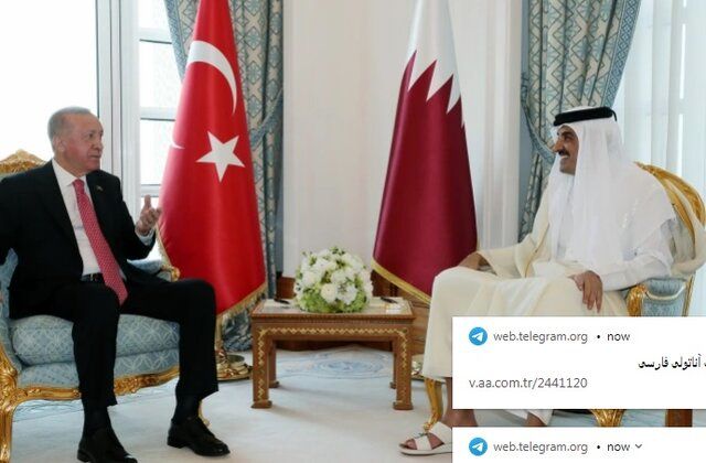 جزئیات نشست کمیته راهبردی مشترک به ریاست اردوغان و امیر قطر