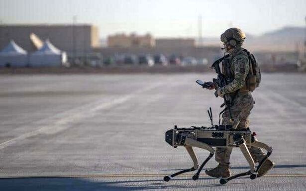 استفاده دوباره از سگ رباتیک در نیروی هوایی آمریکا+عکس
